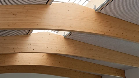 Reine Holz-Dachtragwerksansicht der Aloys-Henhöfer Schule Pfinztal