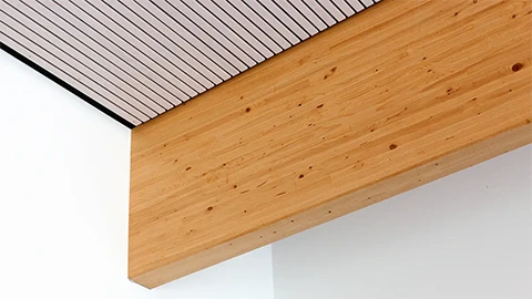 Tragwerksdetail der Sporthalle der Aloys-Henhöfer-Schule, Pfinztal