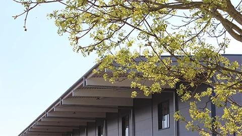 Ansicht Vordach der neuen Produktionshalle von der HR Holzelement von der Niersberger Group