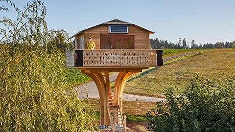 Schwarzwälder Baumhaus in Oberndorf